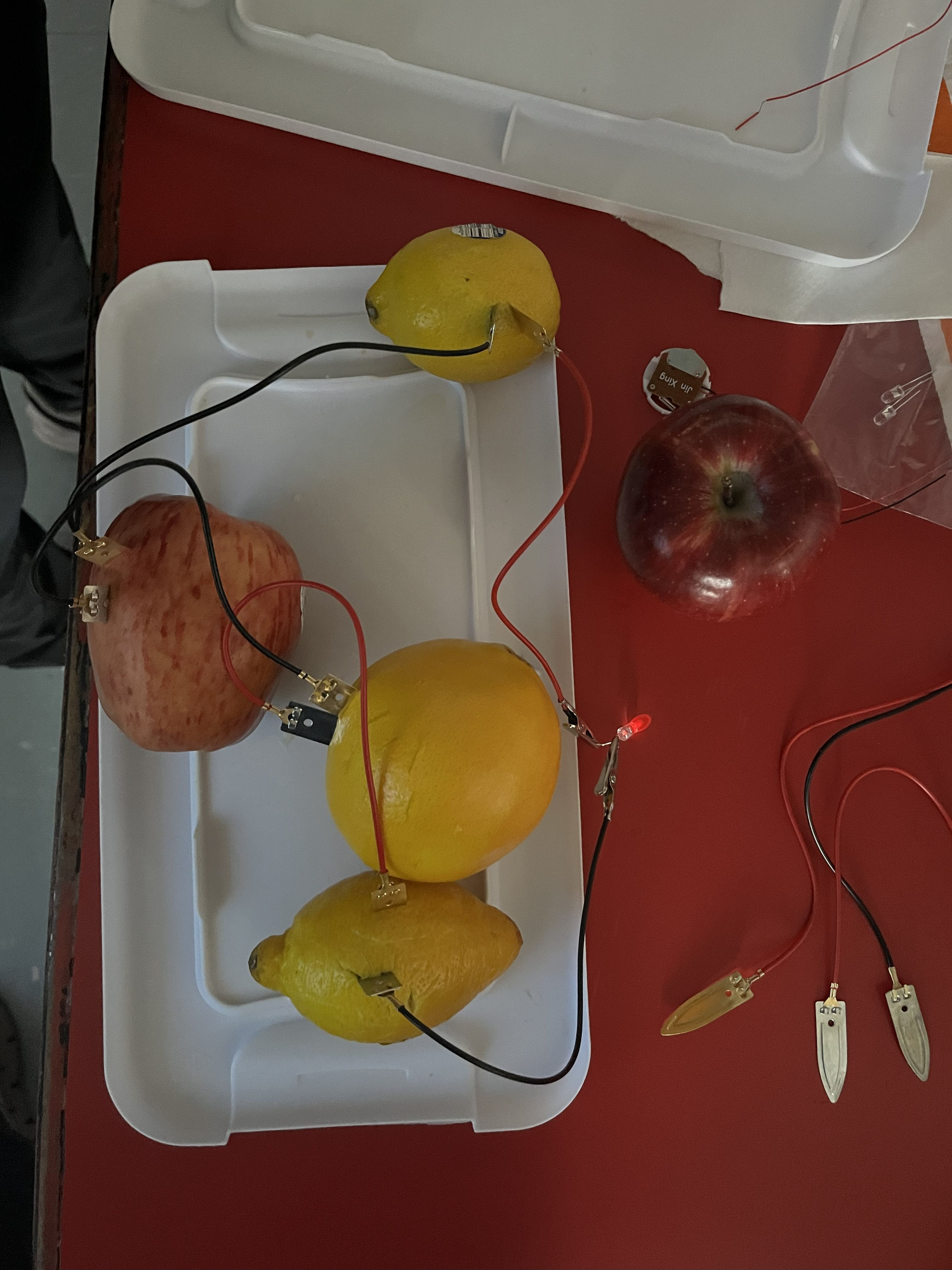 Science Day in J.S. Clark Magnet Elementary School