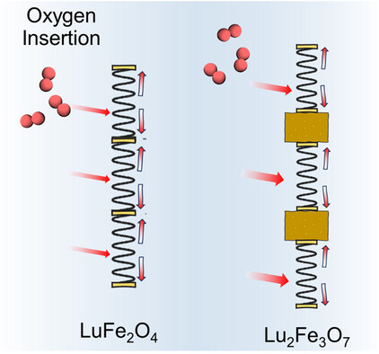 A Crystallographic Shear Driven by Oxygen Insertion in LuFeO sub 3 sub sub i n i sub LuFe sub 2 sub O sub 4 sub